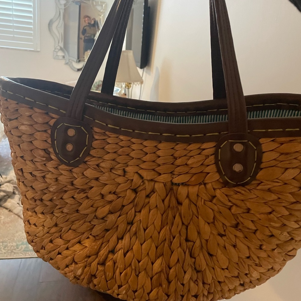 Anthro picnic bag